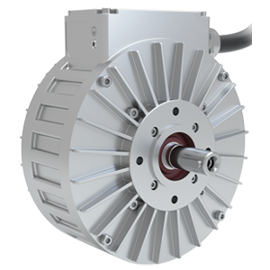 Heinzmann hub motor on sale